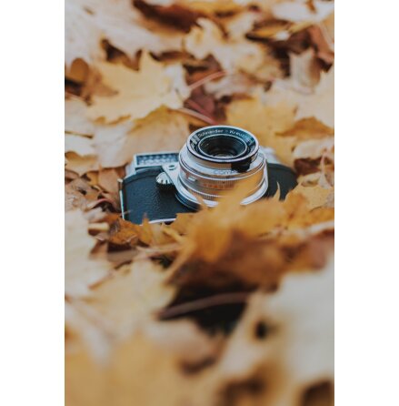 Presentkort - v�lj belopp sj�lv