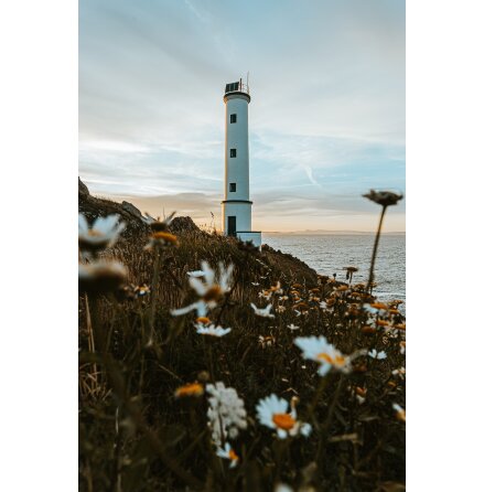 Svart sporttopp med gr� kant